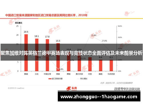 聚焦加维对阵英格兰德甲赛场表现与竞技状态全面评估及未来前景分析