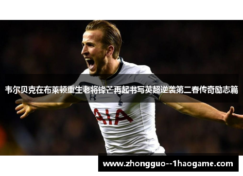 韦尔贝克在布莱顿重生老将锋芒再起书写英超逆袭第二春传奇励志篇