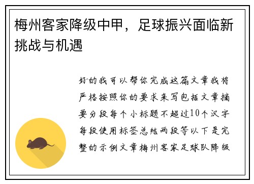 梅州客家降级中甲,足球振兴面临新挑战与机遇 梅州客家降级中甲,足球振兴面临新挑战与机遇
